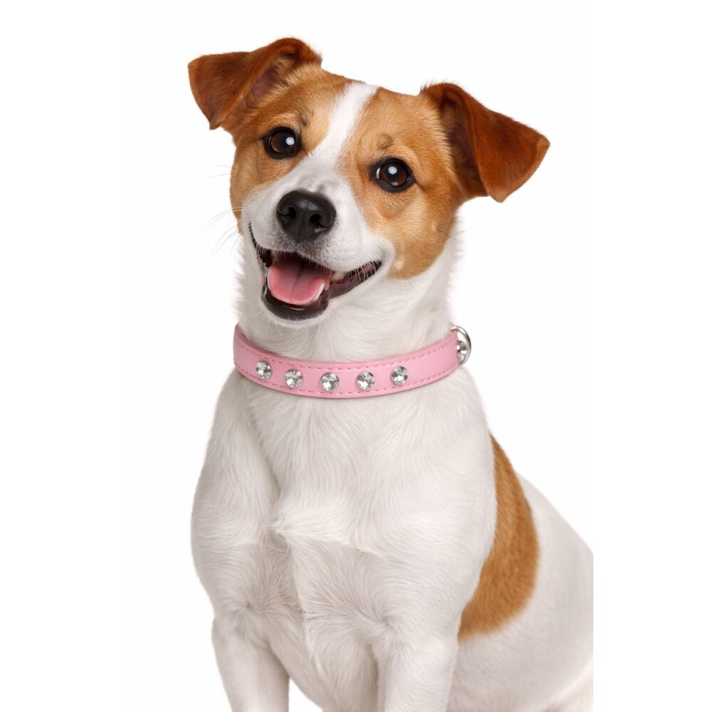 NEW‎ Light Pink Rhinestone Dog Collar 15” Adjustable Pet Collar Bling Accessory